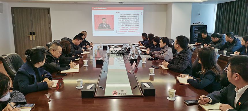 集團黨委委員、副總經(jīng)理賀維維同志講授專題黨課
